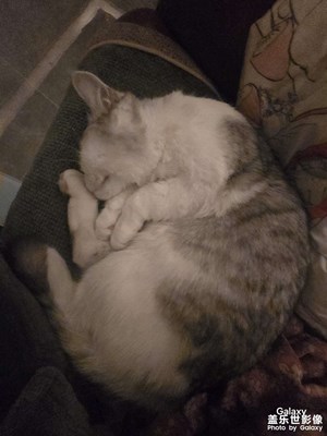 【光影賀新】+馬年吉祥