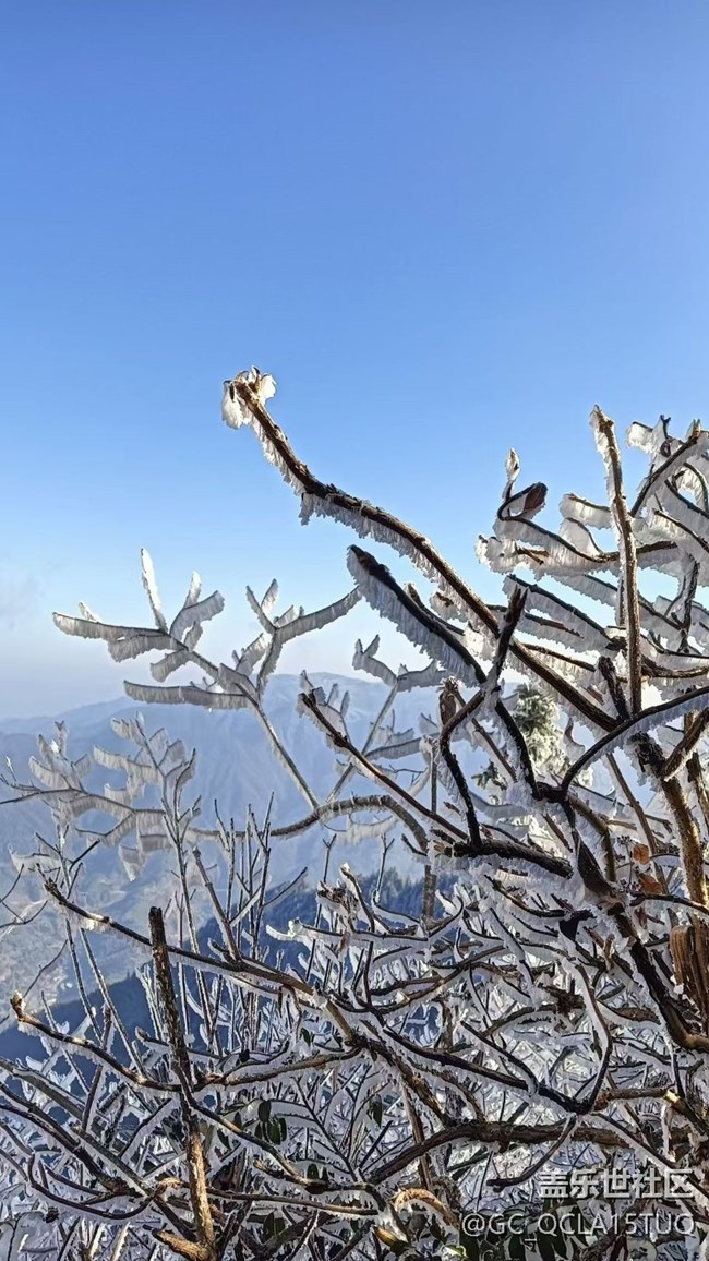 【春節(jié)去哪兒】霧凇