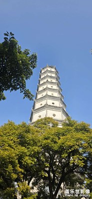 【光影賀新】三元及第，獨(dú)中三元！