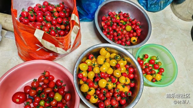 【春節(jié)趣事分享】熬番茄醬