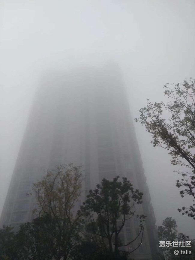 【春節(jié)趣事分享】霧天