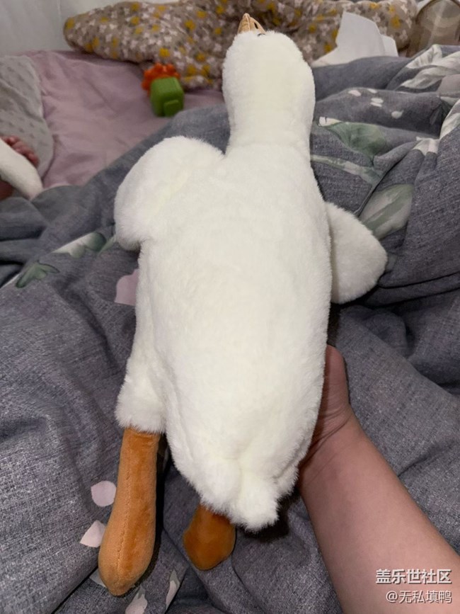 【春節(jié)趣事分享】玩偶