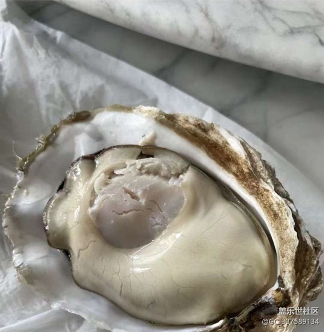 【春肴納福】大生蠔