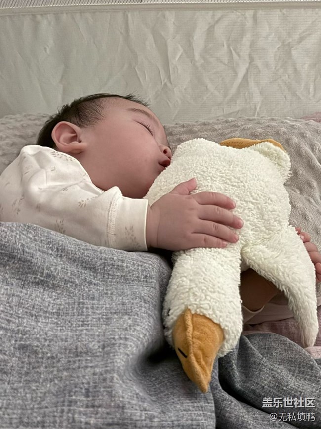 【春節(jié)趣事分享】玩偶