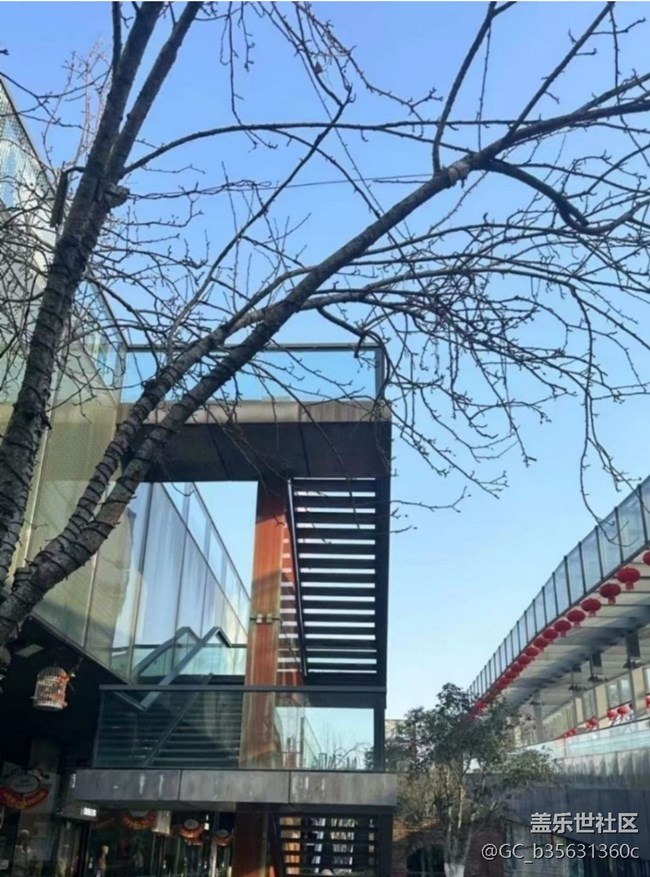 【春節(jié)去哪兒】天氣不錯