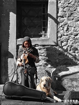 大理古城拉琴的姑娘與小豬