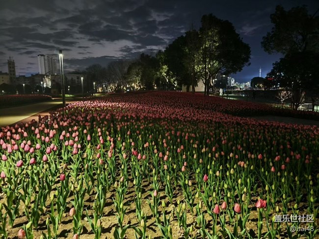 【春節(jié)去哪兒】家鄉(xiāng)夜景