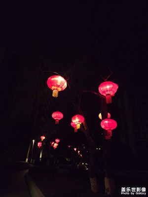 【光影賀新】夜晚的年味