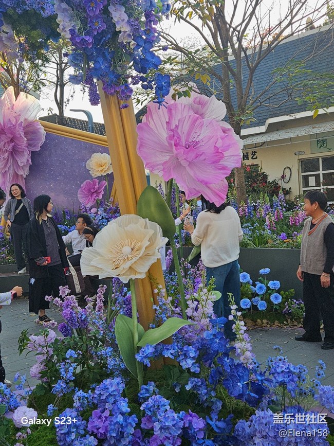 【春節(jié)趣事分享】大花花的花園