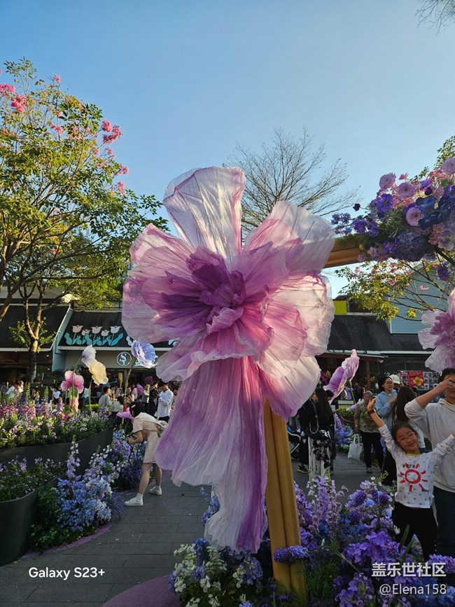【春節(jié)趣事分享】大花花的花園