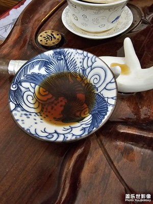 年紀(jì)大了，喝茶是唯一陪伴