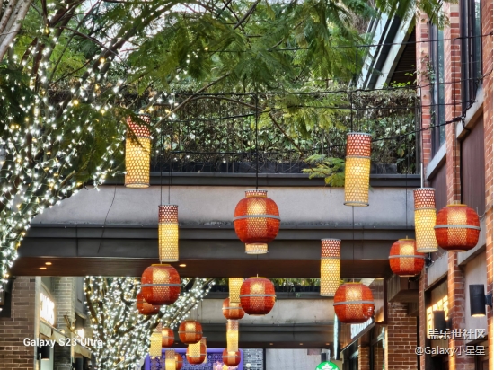 【星粉嘉年華】「廣府探寶·三星尋年」星粉嘉年華（廣州站）活動回顧