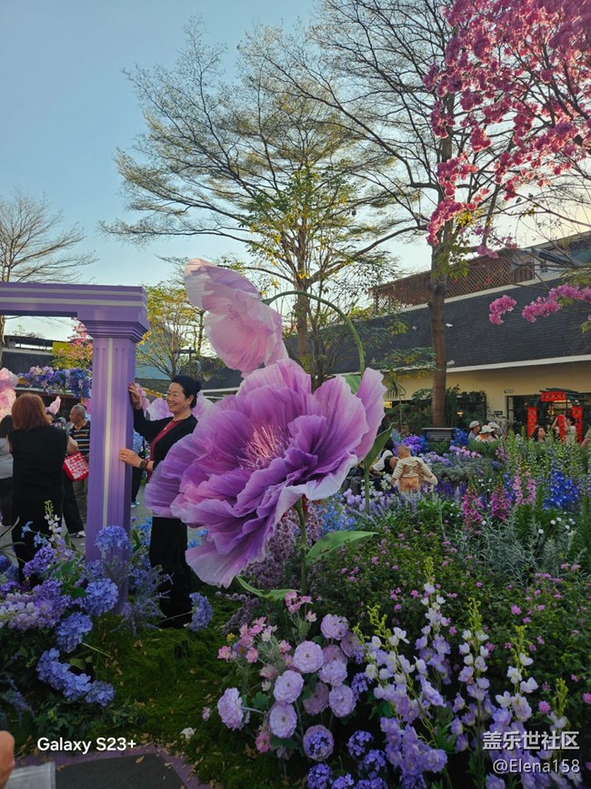 【春節(jié)趣事分享】大花花的花園