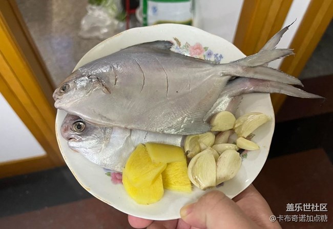 【春肴納?！磕昴暧恤~