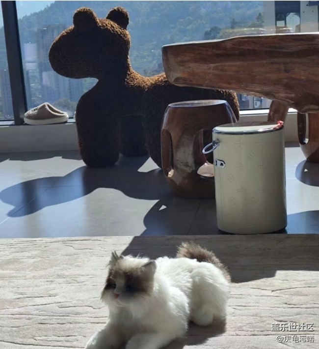 【春節(jié)趣事分享】陪伴