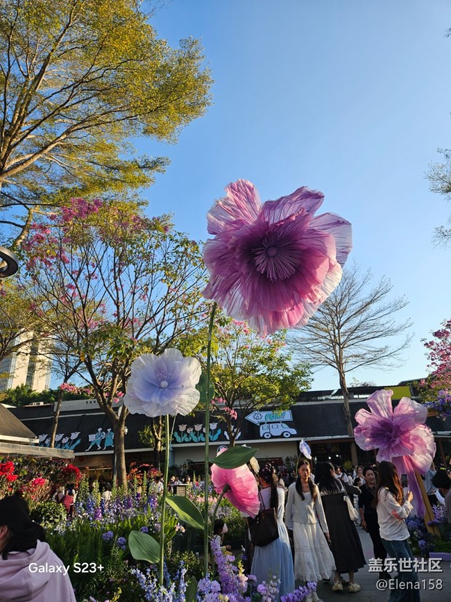 【春節(jié)趣事分享】大花花的花園