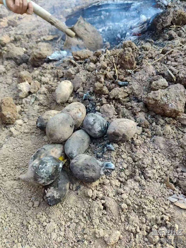 【春節(jié)趣事分享】烤地瓜