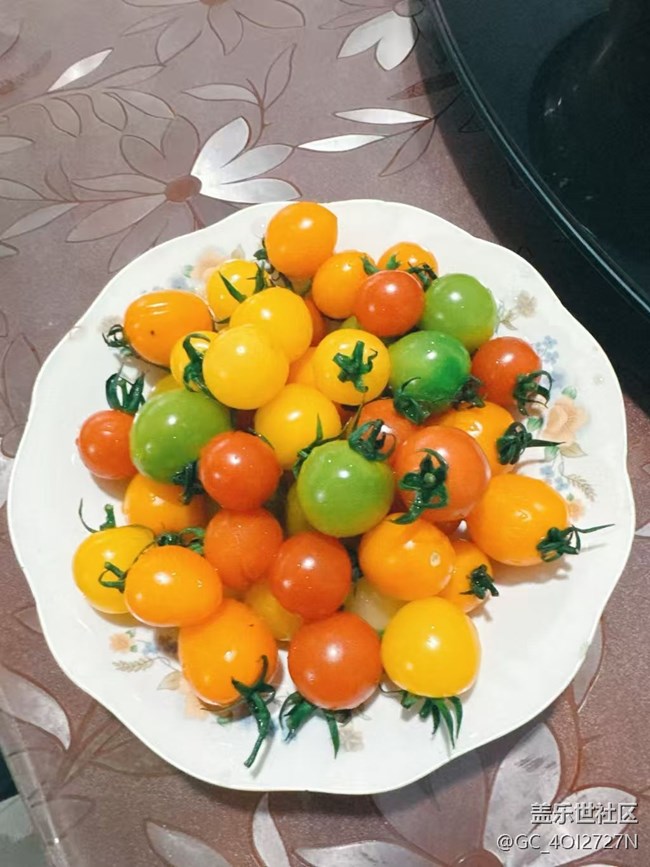 【春肴納?！啃》? title=