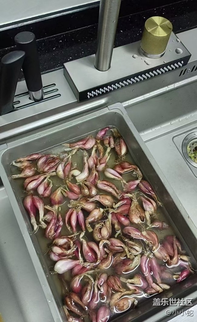 【春節(jié)趣事分享】種花