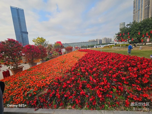 【春節(jié)趣事分享】百花齊放迎新年