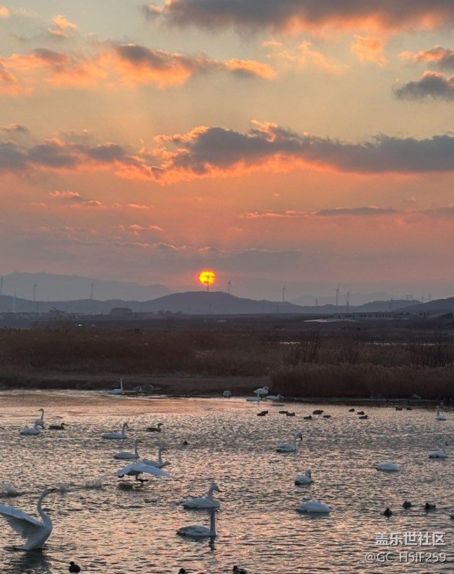 【春節(jié)去哪兒】看海