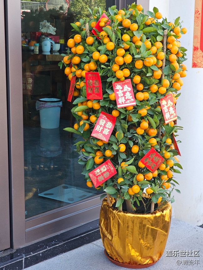 【春節(jié)趣事分享】新年新氣象