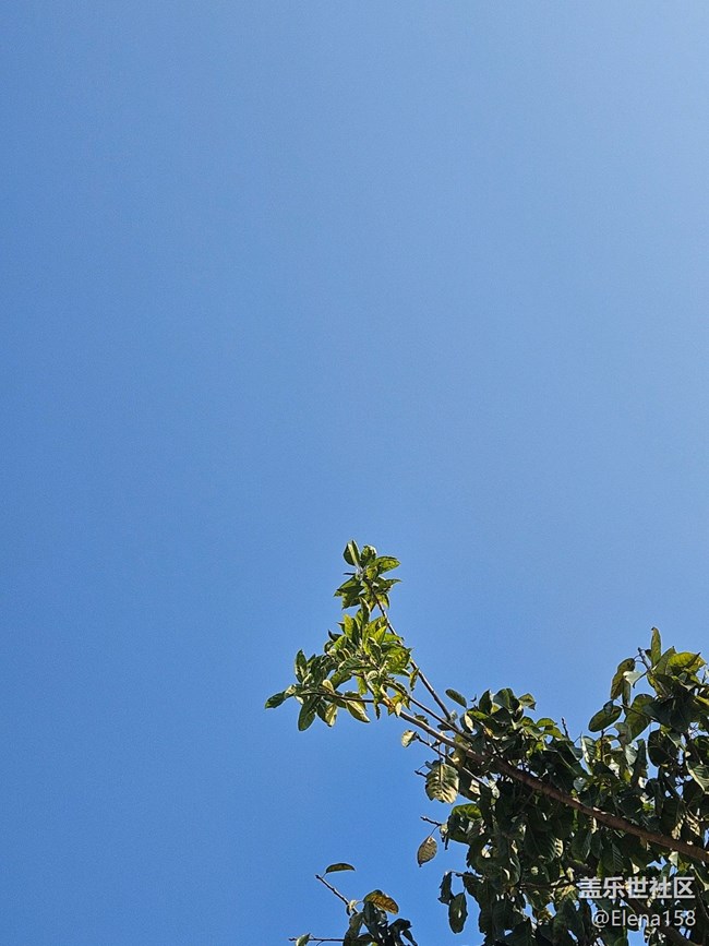 【春節(jié)去哪兒】暖陽(yáng)下的午后