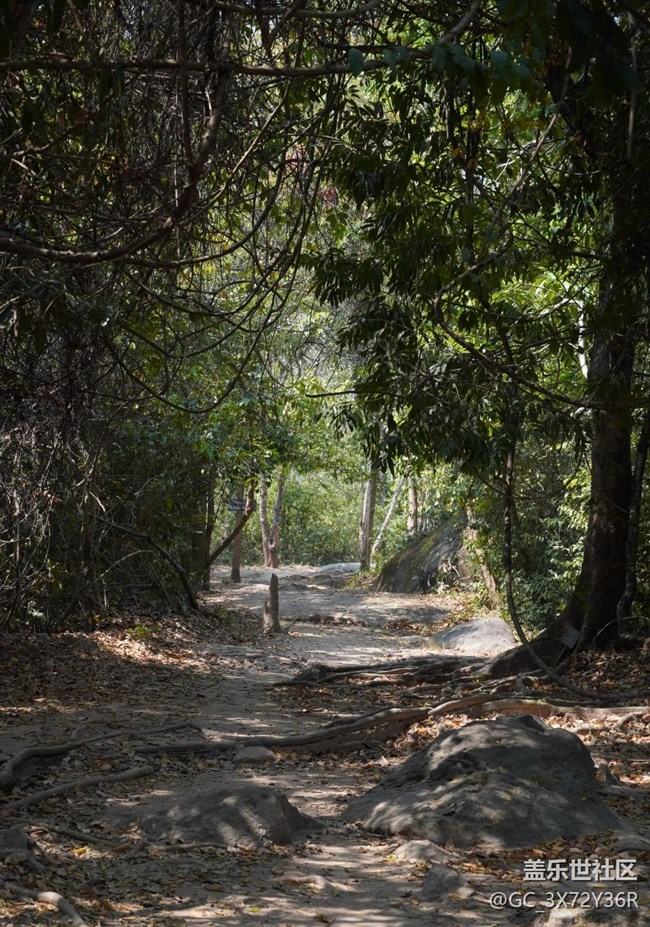 【春節(jié)去哪兒】徒步登山