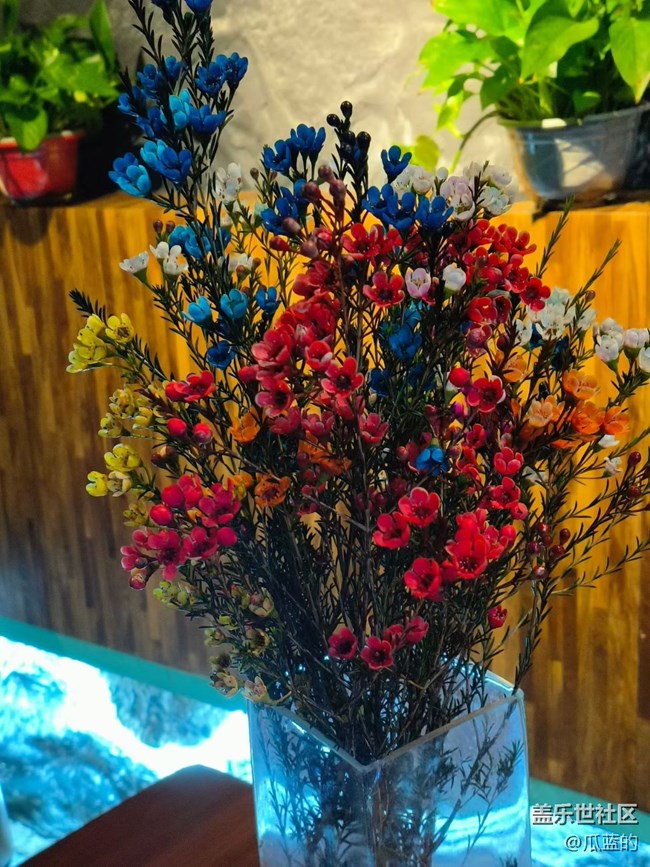 【春節(jié)趣事分享】新年快樂