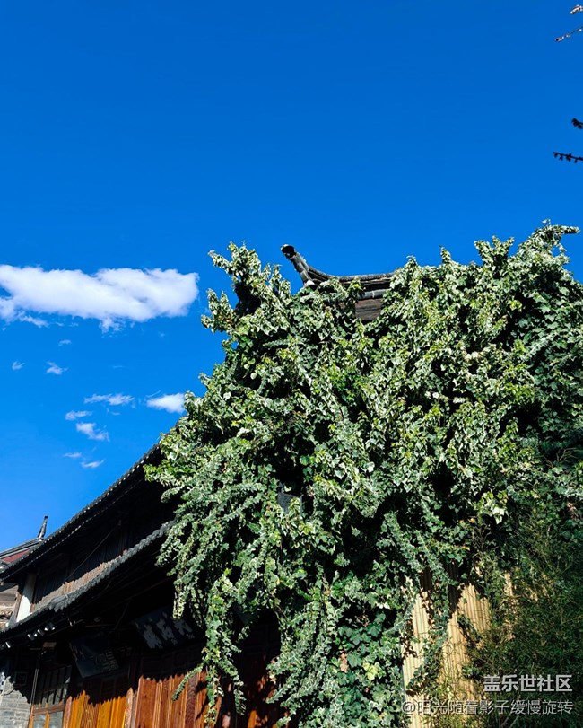 【春節(jié)去哪兒】麗江