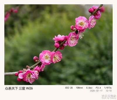 鄉(xiāng)下過年