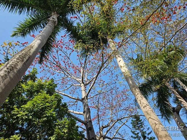 【春節(jié)去哪兒】新年隨行