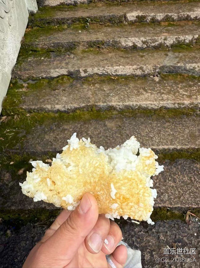 【春肴納?！坎窕痫? title=