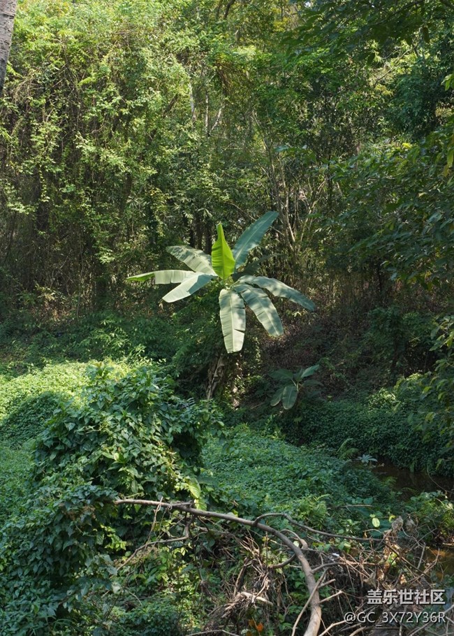 【春節(jié)去哪兒】徒步登山