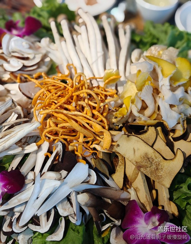 【春節(jié)去哪兒】麗江