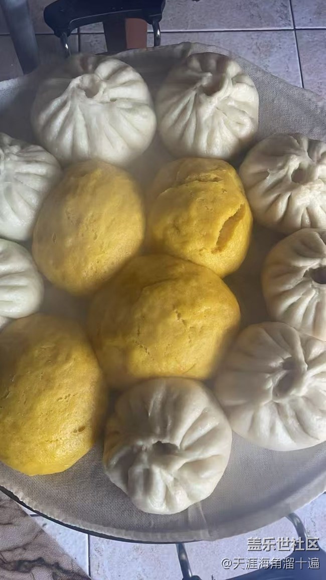 【春肴納?！看箴z頭