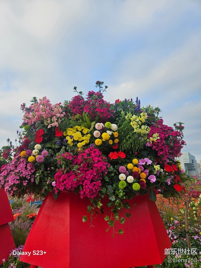 【春節(jié)趣事分享】百花齊放迎新年