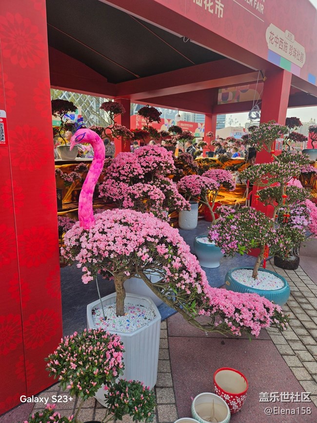 【春節(jié)趣事分享】百花齊放迎新年