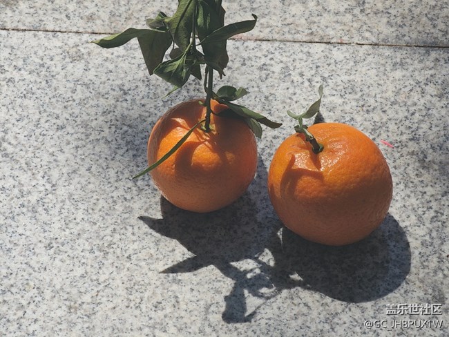 【春節(jié)去哪兒】散步