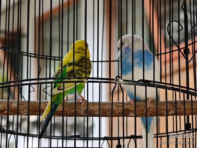 【春醒萬物生】春風如畫筆