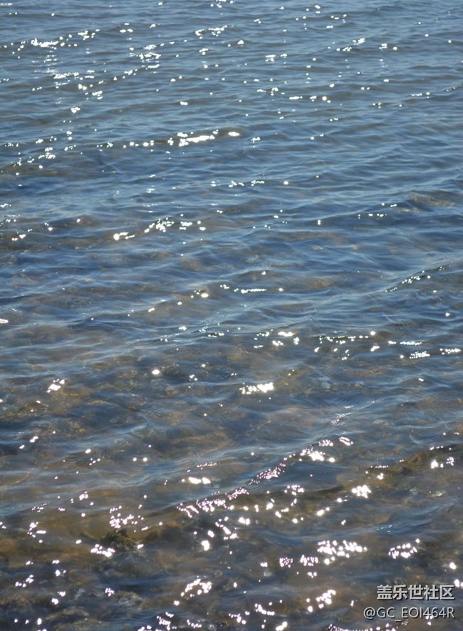 【春節(jié)去哪兒】即墨豬島