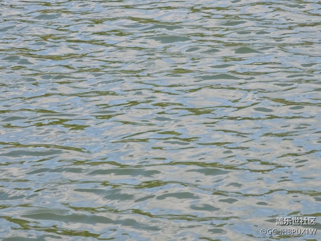 【春節(jié)趣事分享】好天氣好時(shí)光