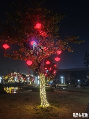 【光影賀新】+馬年吉祥