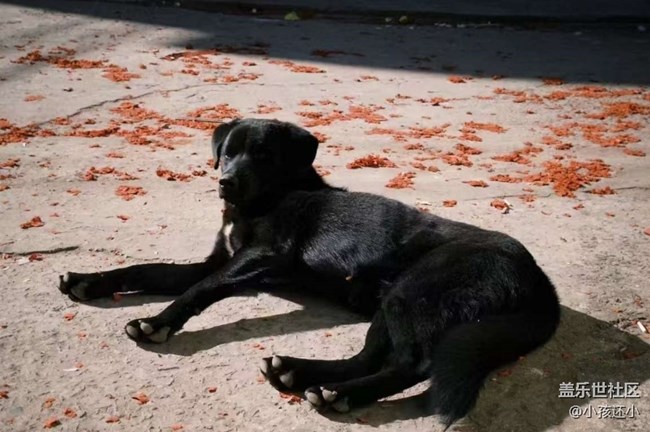 【春節(jié)去哪兒】家鄉(xiāng)風(fēng)景