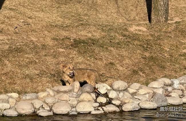 【春節(jié)去哪兒】動(dòng)物園