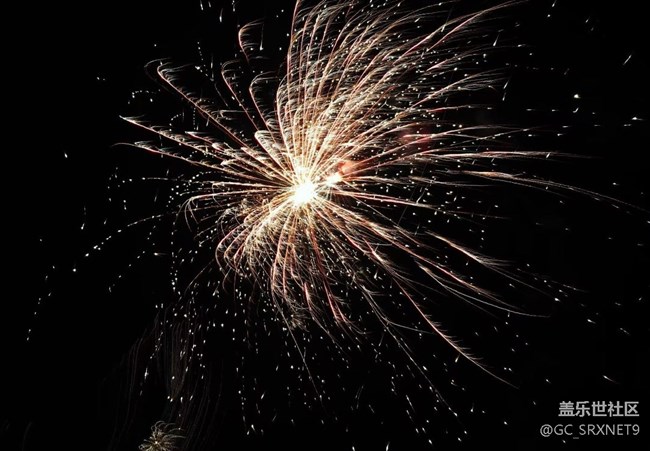 【春節(jié)趣事分享】璀璨夜空，煙火繪就新春畫卷