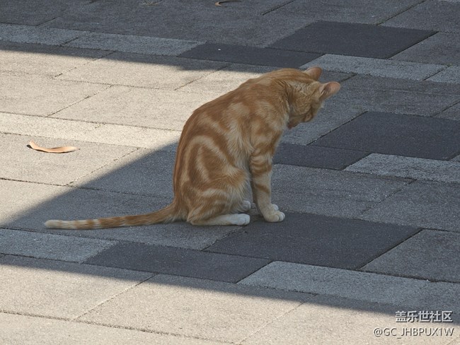 【春節(jié)去哪兒】散步