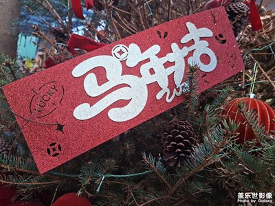 【光影賀新】策馬奔富