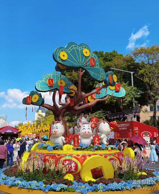 【春節(jié)去哪兒】花市