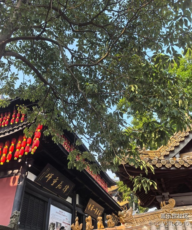 【春節(jié)去哪兒】古寺之旅